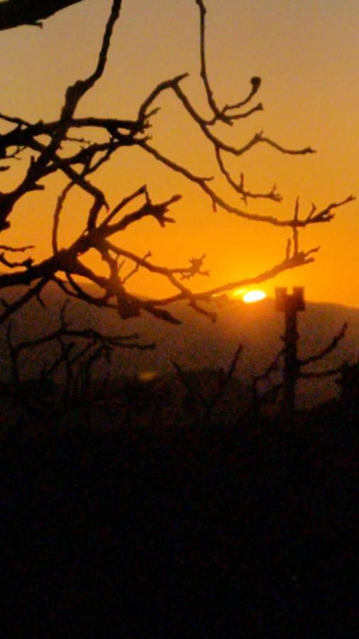 Romantico Chalet in pietra da mille e una notte Petralia Soprana Esterno foto